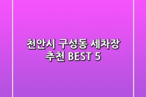 천안시 구성동 세차장 추천 BEST 5