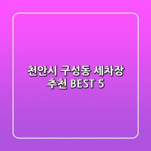 천안시 구성동 세차장 추천 BEST 5