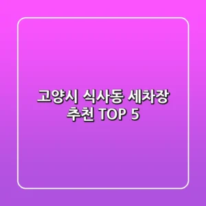 고양시 식사동 세차장 추천 TOP 5
