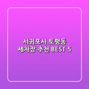 서귀포시 토평동 세차장 추천 BEST 5