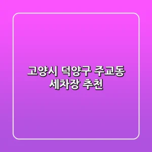 고양시 덕양구 주교동 세차장 추천