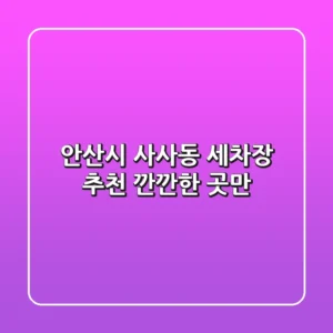안산시 사사동 세차장 추천 | 깐깐한 곳만!