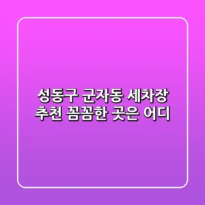 성동구 군자동 세차장 추천: 꼼꼼한 곳은 어디?