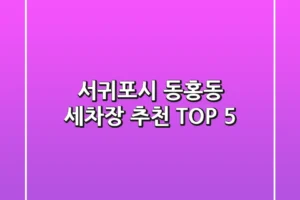 서귀포시 동홍동 세차장 추천 TOP 5
