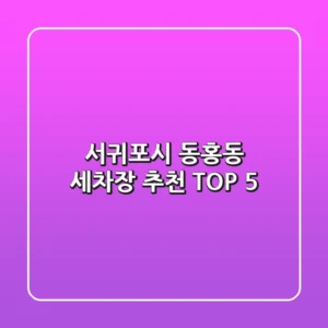 서귀포시 동홍동 세차장 추천 TOP 5