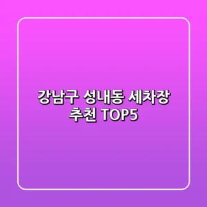 강남구 성내동 세차장 추천 TOP5