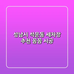 성남시 석운동 세차장 추천: 꼼꼼 시공!