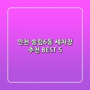 인천 송림6동 세차장 추천 BEST 5