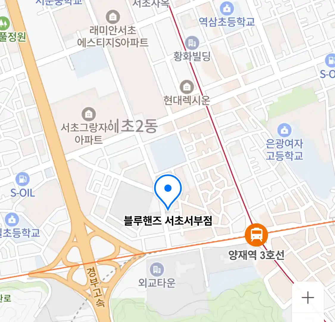 블루핸즈 서초서부점