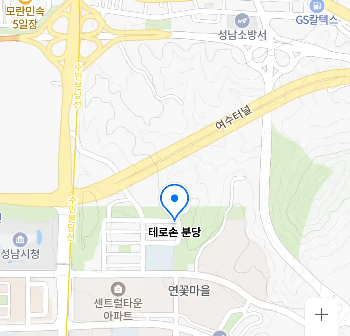 테로손 분당