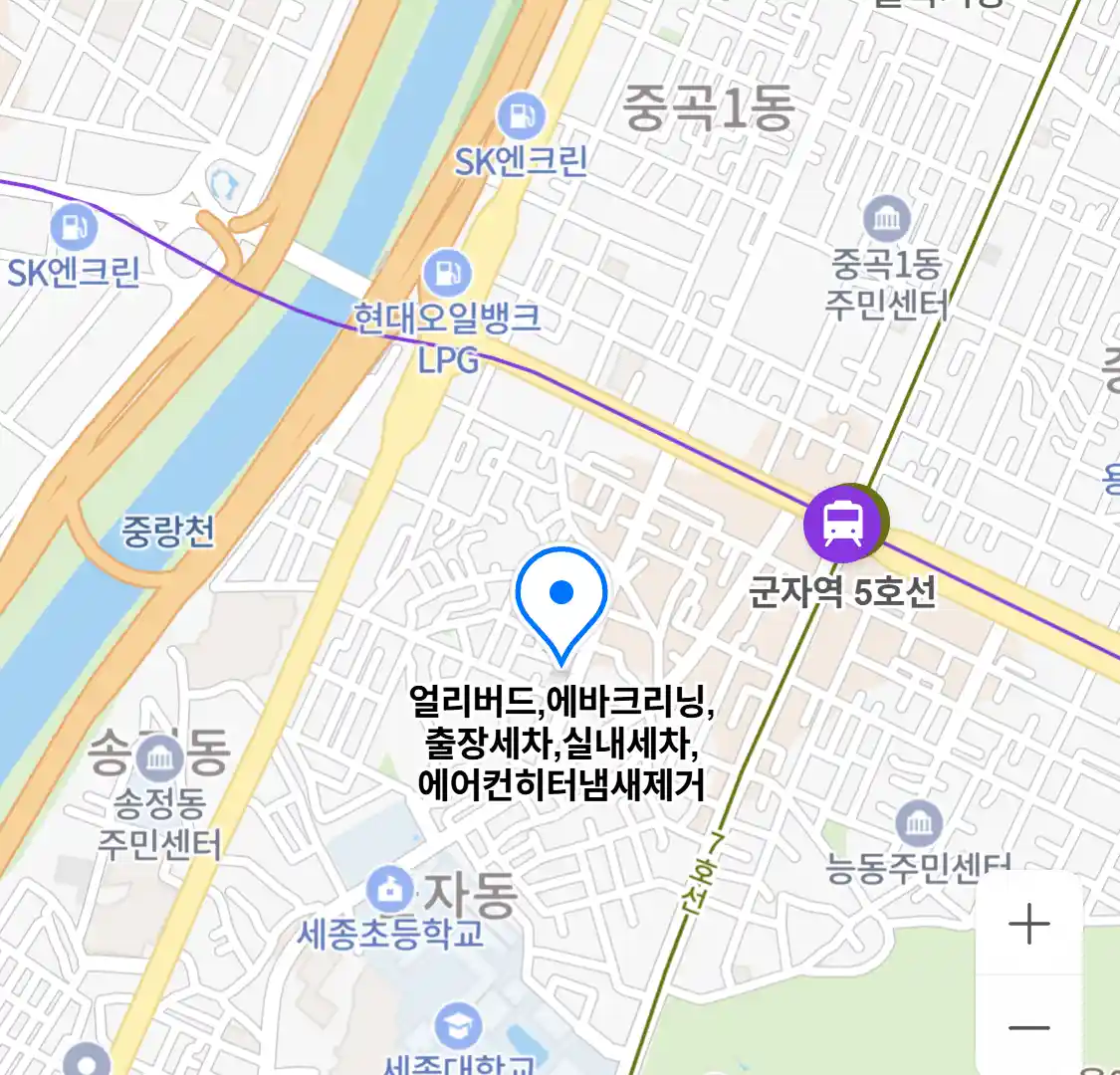 얼리버드,에바크리닝,출장세차,실내세차,에어컨히터냄새제거