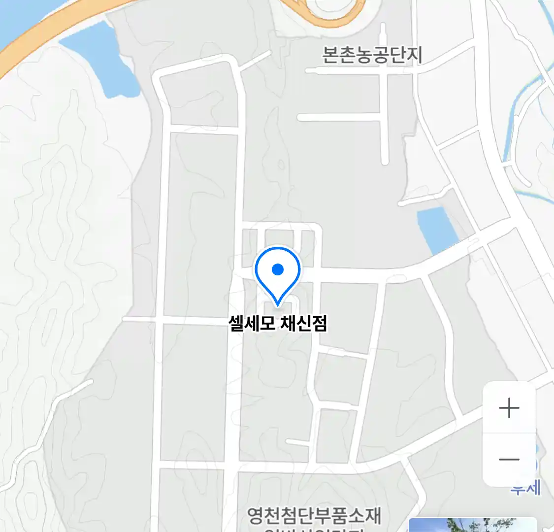 셀세모 채신점
