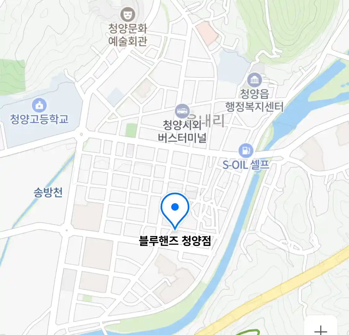블루핸즈 청양점