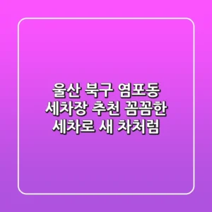 울산 북구 염포동 세차장 추천 | 꼼꼼한 세차로 새 차처럼!