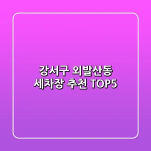 강서구 외발산동 세차장 추천 TOP5
