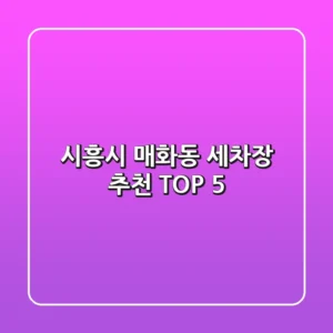 시흥시 매화동 세차장 추천 TOP 5