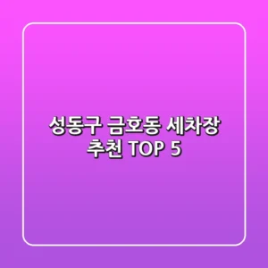 성동구 금호동 세차장 추천 TOP 5