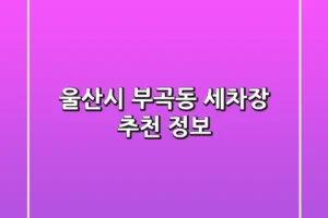 울산시 부곡동 세차장 추천 정보