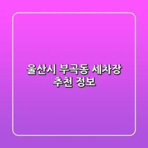 울산시 부곡동 세차장 추천 정보