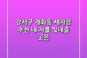 강서구 개화동 세차장 추천 : 내 차를 빛내줄 곳은?