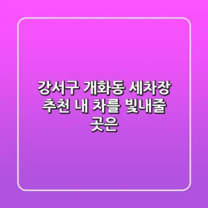 강서구 개화동 세차장 추천 : 내 차를 빛내줄 곳은?