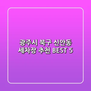 광주시 북구 신안동 세차장 추천 BEST 5