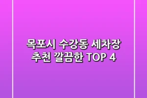 목포시 수강동 세차장 추천: 깔끔한 TOP 4