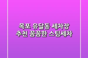 목포 유달동 세차장 추천: 꼼꼼한 스팀세차!