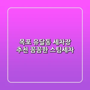 목포 유달동 세차장 추천: 꼼꼼한 스팀세차!