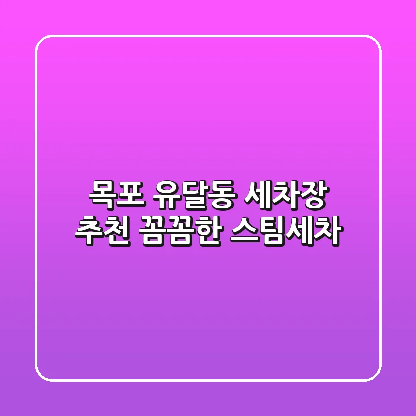 목포 유달동 세차장 추천: 꼼꼼한 스팀세차!