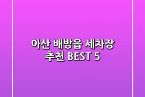 아산 배방읍 세차장 추천 BEST 5