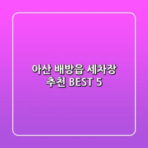 아산 배방읍 세차장 추천 BEST 5