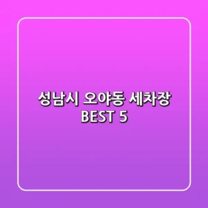 성남시 오야동 세차장 BEST 5