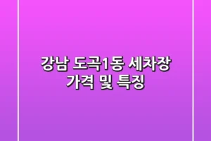 강남 도곡1동 세차장 가격 및 특징
