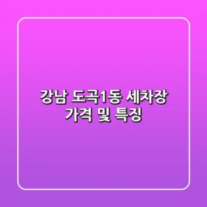 강남 도곡1동 세차장 가격 및 특징