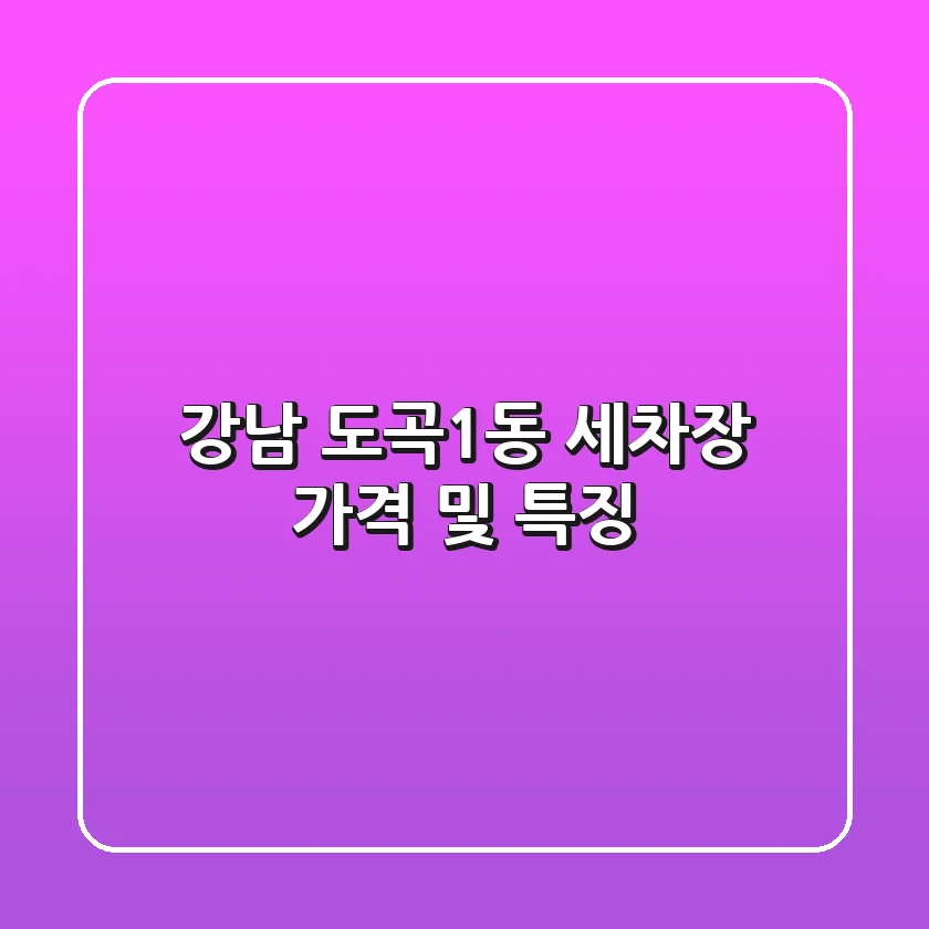 강남 도곡1동 세차장 가격 및 특징