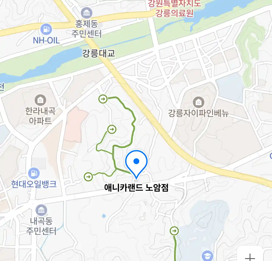 애니카랜드 노암점