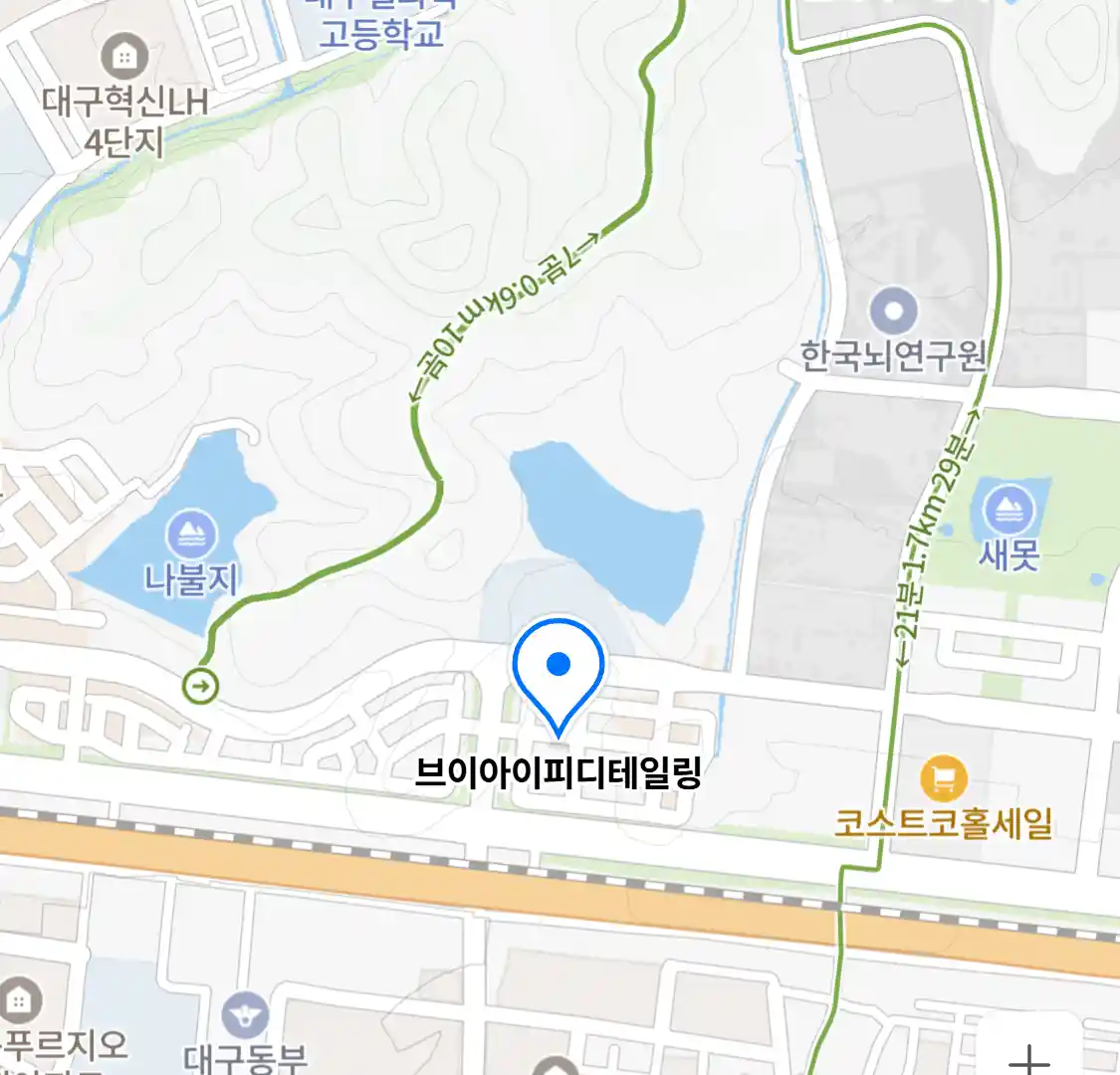 브이아이피디테일링