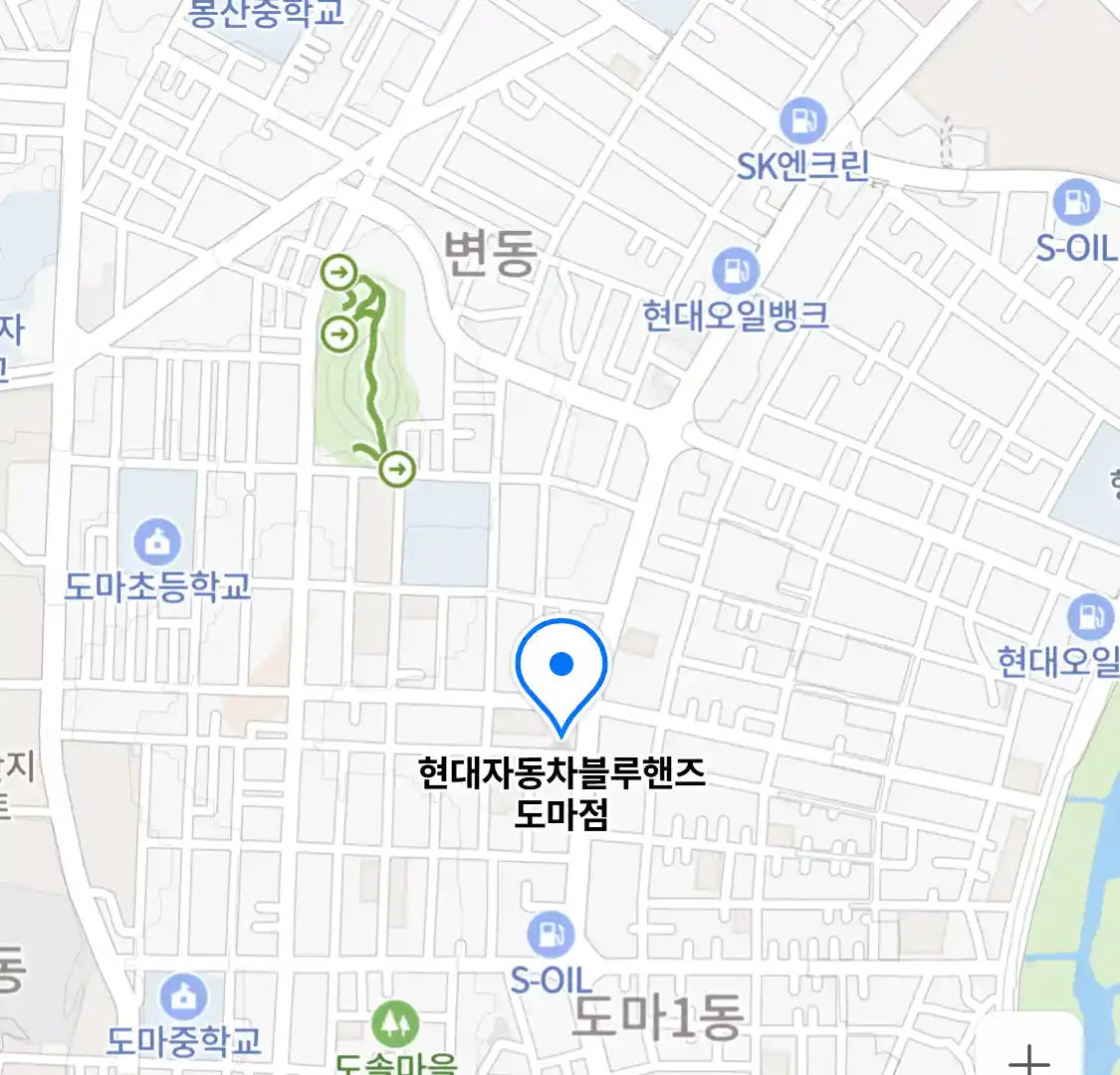 현대자동차블루핸즈 도마점