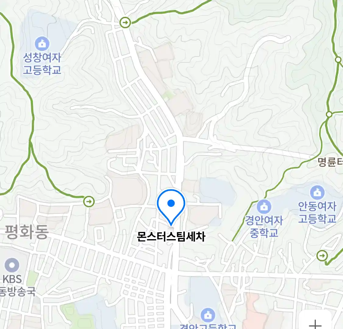 몬스터스팀세차
