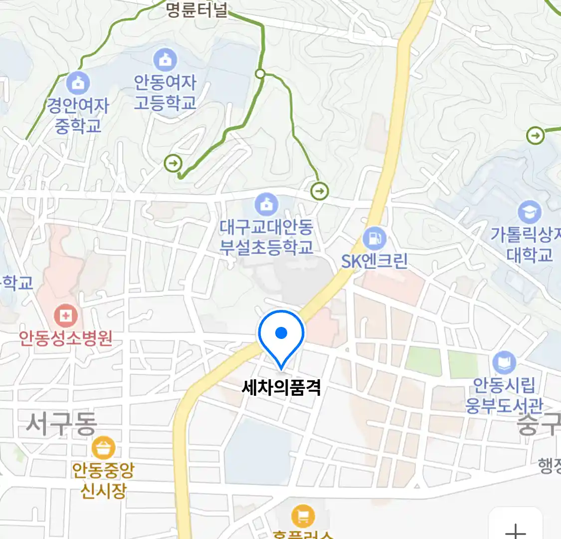 세차의품격