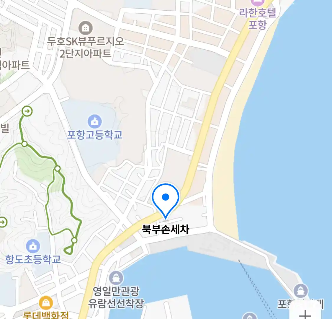 북부손세차