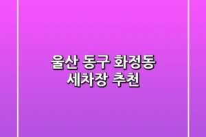 울산 동구 화정동 세차장 추천