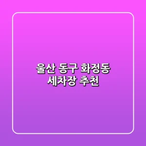 울산 동구 화정동 세차장 추천