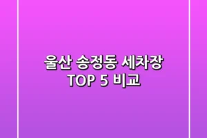 울산 송정동 세차장 TOP 5 비교