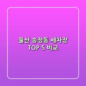 울산 송정동 세차장 TOP 5 비교