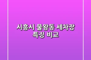 시흥시 물왕동 세차장 특징 비교