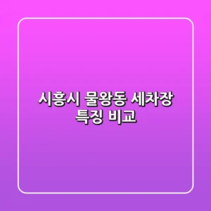 시흥시 물왕동 세차장 특징 비교
