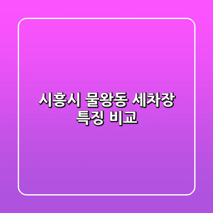 시흥시 물왕동 세차장 특징 비교