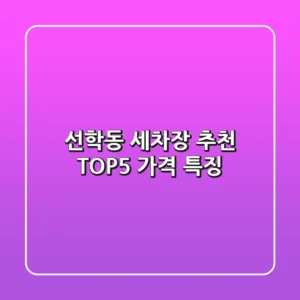 선학동 세차장 추천 TOP5 가격 특징